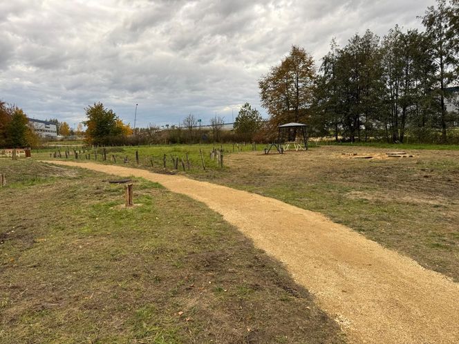 Serenity Park w Mysłowicach to nowe miejsce wypoczynku na Śląsku