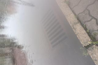 Deszcz uszkodził nawierzchnię na Kosynierów Gdyńskich. Autobusy zmieniły trasy