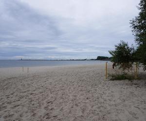 Jedyne takie miejsce na plażowej mapie Gdańska. Właściciele psów powinni o nim wiedzieć!