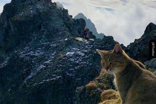 Najlepsze memy o górach i o góralach! Te grafiki bawią do łez 