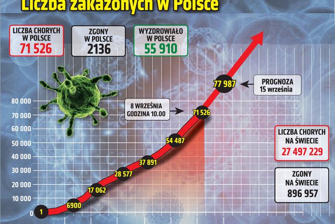 Koronawirus w Polsce. Ile jest dziś zakażeń? [8 WRZEŚNIA 2020]