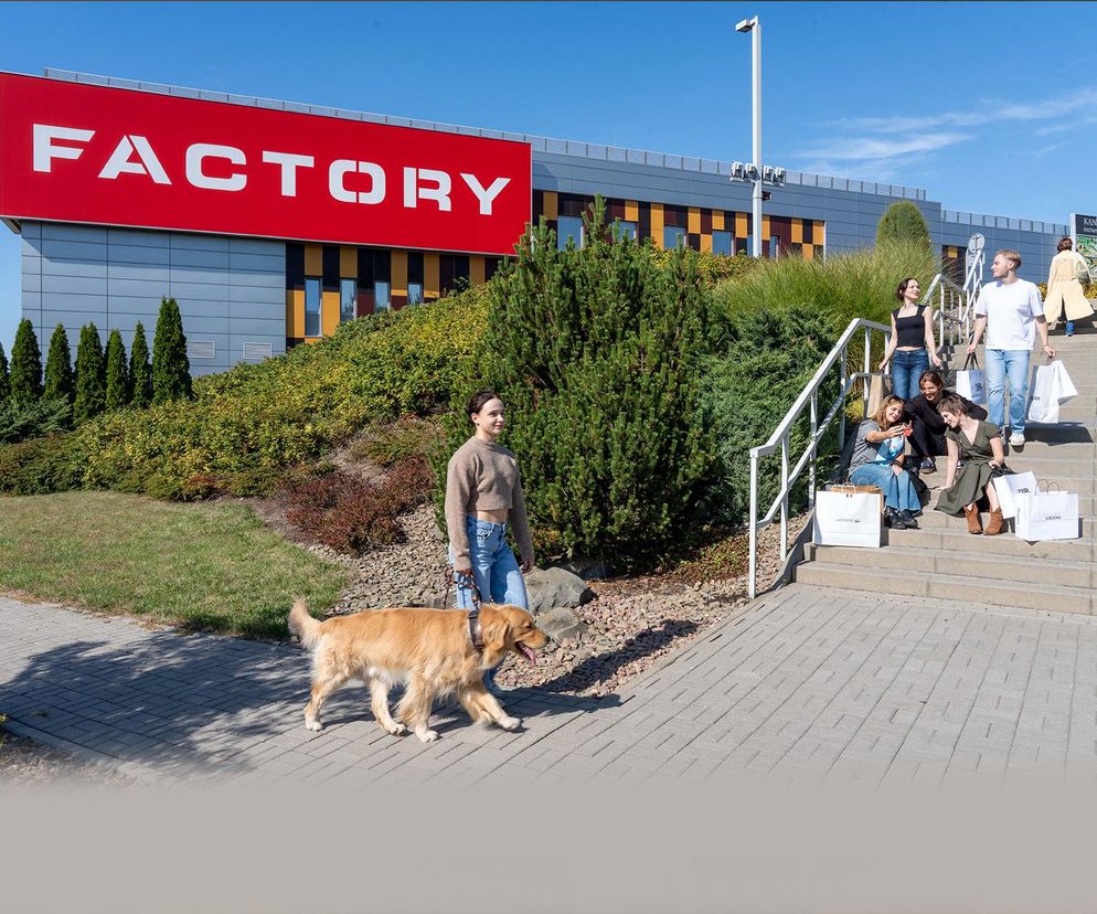 Startuje Jungle Night w FACTORY Kraków, czyli wieczór 50% rabatów od cen outletowych