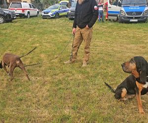 Zaginiona dziewczynka z Dziewkowic odnaleziona. Policja zatrzymała mężczyznę