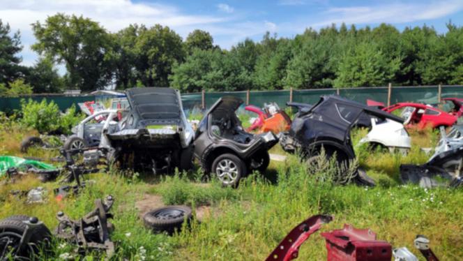 Wielka akcja policji. Samochodowy złodziej usłyszał 36 zarzutów