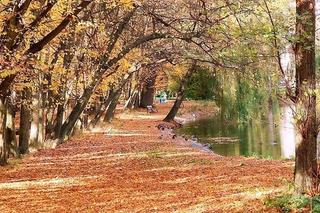 Park Miejski jesienią