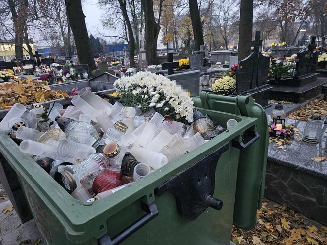 Kwiaty, które jako pierwsze trzeba wyrzucić z cmentarzy.