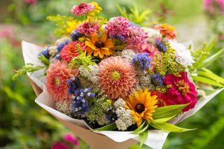 Co to są kwiaty stabilizowane? Jak utrwalić kwiaty i przedłużyć ich wygląd?