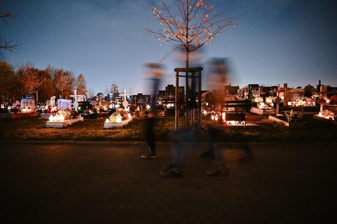 1 listopada na Cmentarzu Łostowickim w Gdańsku. Tak wygląda w dniu Wszystkich Świętych