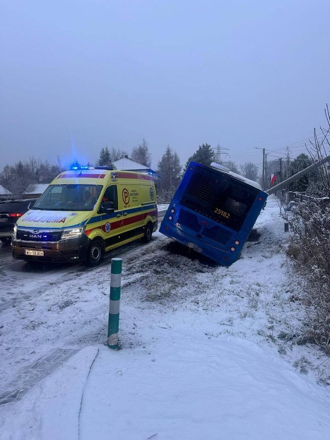 Pasażerowie przeżyli prawdziwe chwile grozy. Autobus zjechał do rowu i uderzył w słup!