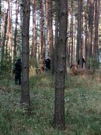 W Puszczy Noteckiej trwa obława