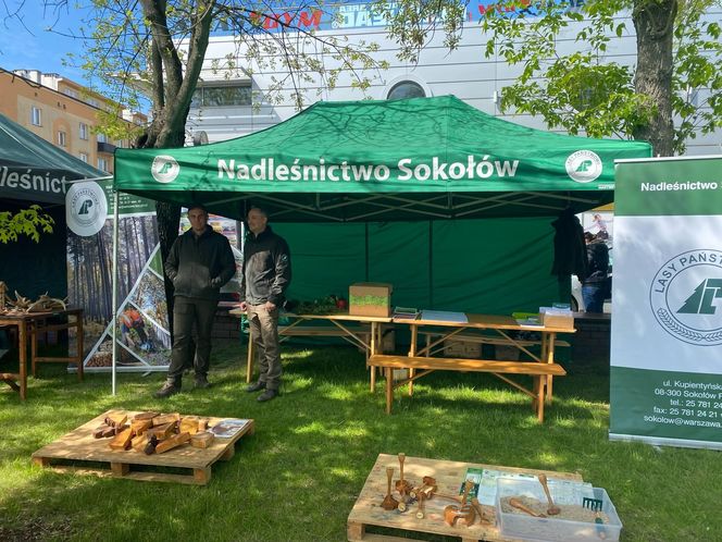 XVI Jarmark św. Stanisława w Siedlcach. Zobacz zdjęcia