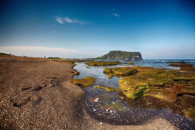 Jeju Korea w Katowice: Tak wygląda wyspa w Korei Południowej