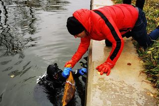 Posprzątali Kanał Łuczański w Giżycku. To, co wyłowili, zaskoczyło wszystkich [ZDJĘCIA]