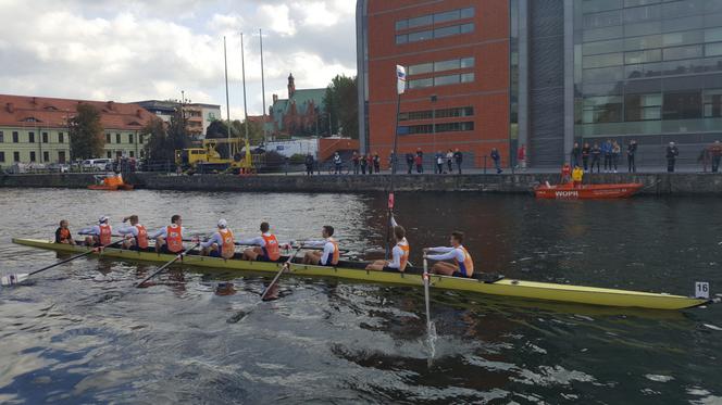 Wielka Wioślarska 2019 w Bydgoszczy 