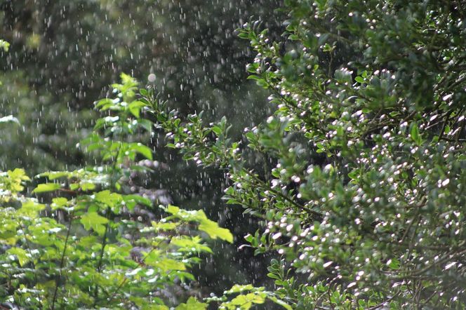 Temperatury powyżej 20 stopni kontra burze i ulewne deszcze! Wiemy, gdzie nastąpi pogodowy przełom
