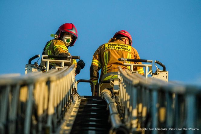  Kawle. Pożar zakładu przetwórstwa drobiowego. 120 strażaków walczy z żywiołem w czwartek, 14 sierpnia. Jeden z nich zaginął [ZDJĘCIA]