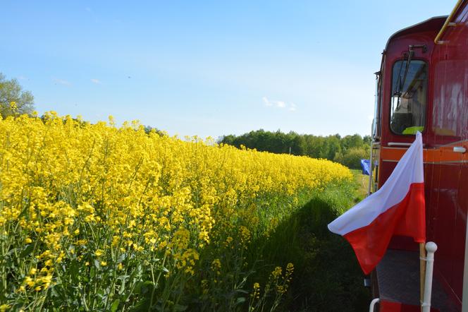 Ciuchcia Ponidzie atrakcją dla turystów w Świętokrzyskiem