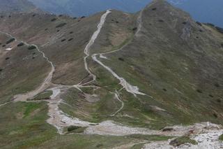 Województwo nowosądeckie. Prawie połowę jego obszaru zajmowały lasy