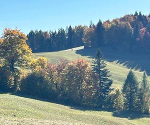 Małopolskie pasmo górskie zachwyca jesiennym pięknem. Ukryta perełka z widokiem na tatry 