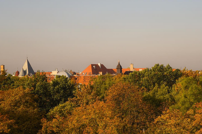 Widok na Poznań skąpany w koronach jesiennych drzew