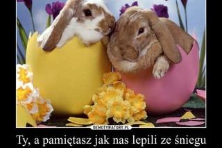 Najlepsze Wielkanocne MEMY 