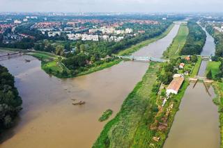 Fala kulminacyjna na Odrze. Czy Wrocławianie obawiają się powodzi?