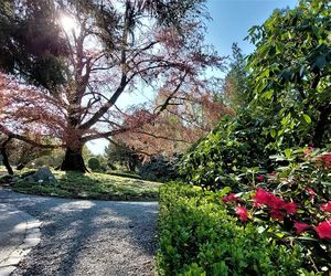 Wyjątkowe Arboretum Wojsławice. Tysiące roślin pod Wrocławiem