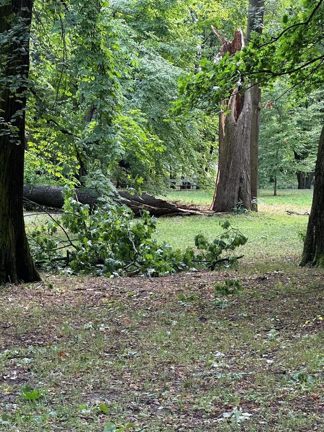 Łazienki Królewskie jednak zamknięte do odwołania