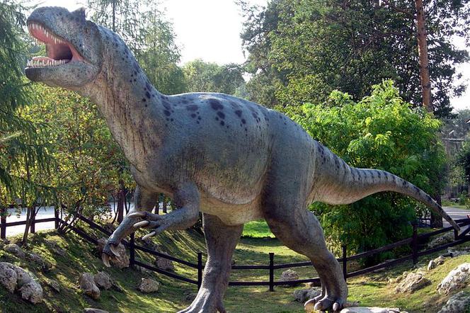 Rezerwat pod Stąporkowem niczym Park Jurajski? Tropy DINOZAURÓW sprzed 200 mln lat!