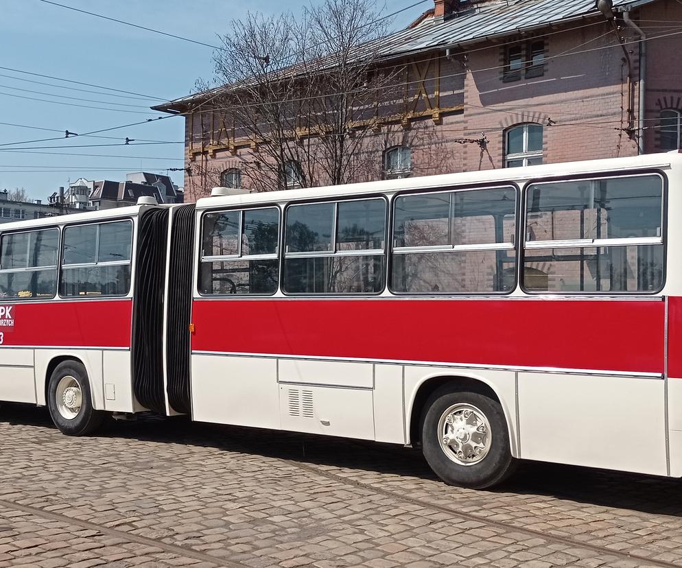 Zabytkowe autobusy wyjadą na ulice Wrocławia! Zobacz, gdzie 