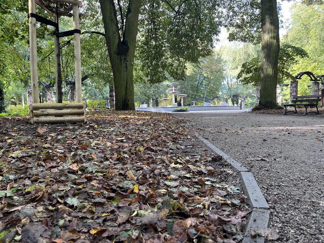 Park Kopernika w Gorzowie w jesiennej scenerii