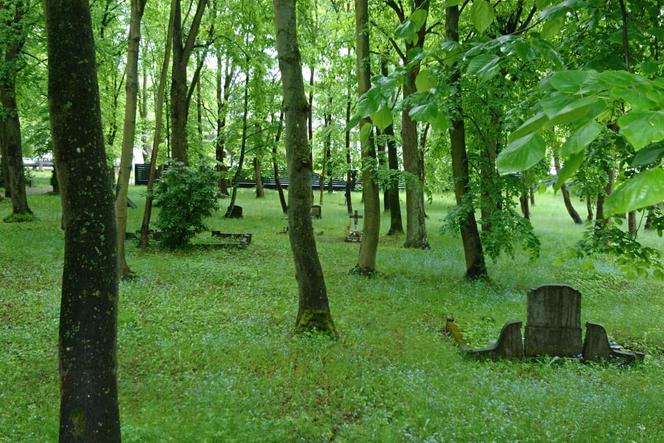Jeszcze w tym roku cmentarz w Brętowie zostanie wpisany do rejestru zabytków