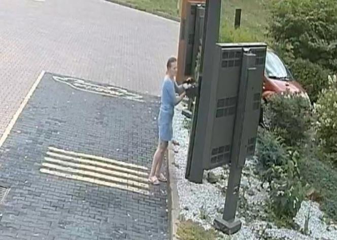 Tychy: Zamiast zamówić Big Maca rozwaliła monitor do zamawiania w McDonald's. Jest poszukiwana
