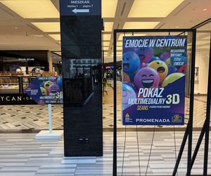 Na ekranie wyświetlane są animacje 3D