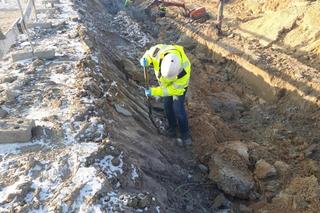 Kości znalezione na budowie stacji metra 