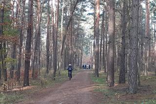 Popularne miejsca spacerowe w Toruniu