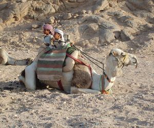 Hurghada. Miasto, które powstało z z brytyjskiej osady poszukiwaczy ropy naftowej