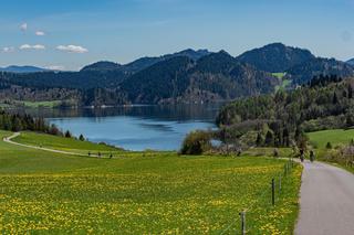 Wakacje nad jeziorem w Polsce. TOP 5 miejsc na odpoczynek