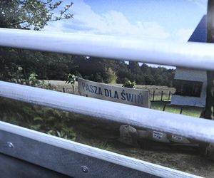 Reporterzy Super Expressu zamienili się w świnie. To pierwsze takie miejsce w Polsce. Nietypowy escape room w Warszawie