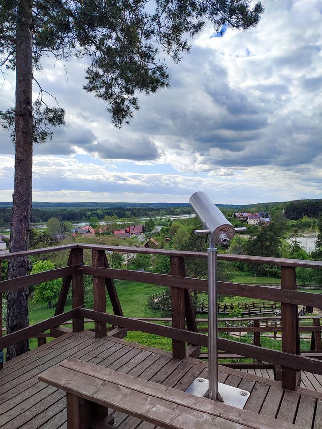 Drewniana ścieżka widokowa w Mielniku. Widok z Góry Rowskiej zapiera dech w piersiach! [ZDJĘCIA]