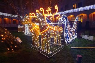 Świąteczne iluminacje na Zamku Książąt Pomorskich w Szczecinie