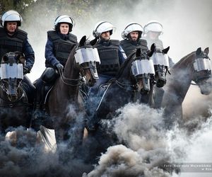 Policyjne konie zdały egzamin! Bary i Wag pierwszy raz wzięły udział w teście
