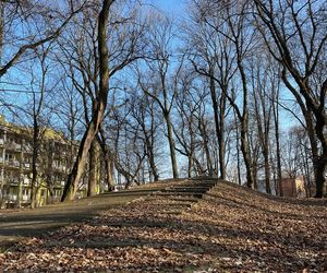 Zabytkowy Park Bronowicki w Lublinie czeka gruntowna rewitalizacja. Koszt? 8 milionów złotych