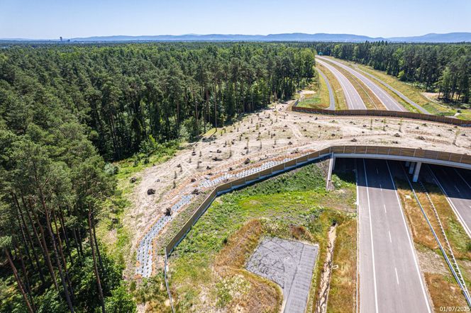 S1 Oświęcim - Dankowice jest gotowa, ale GDDKiA zastanawia się, kiedy ją otworzyć