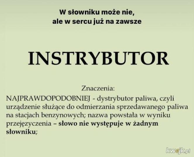 Instrybutor podbija internet