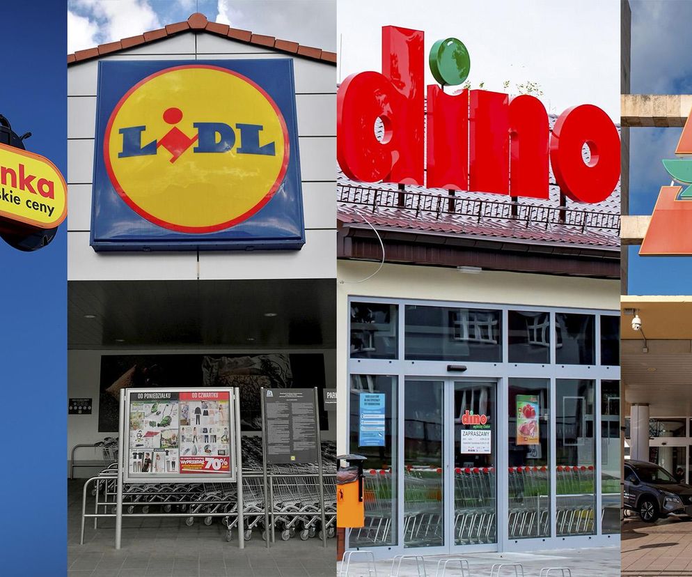 Biedronka, Lidl, Dino i Auchan