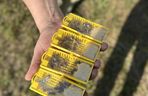 Koksownia Bytom jest nazywana fabryką chmur. Teraz produkuje też pszczoły. Ma własną pasiekę