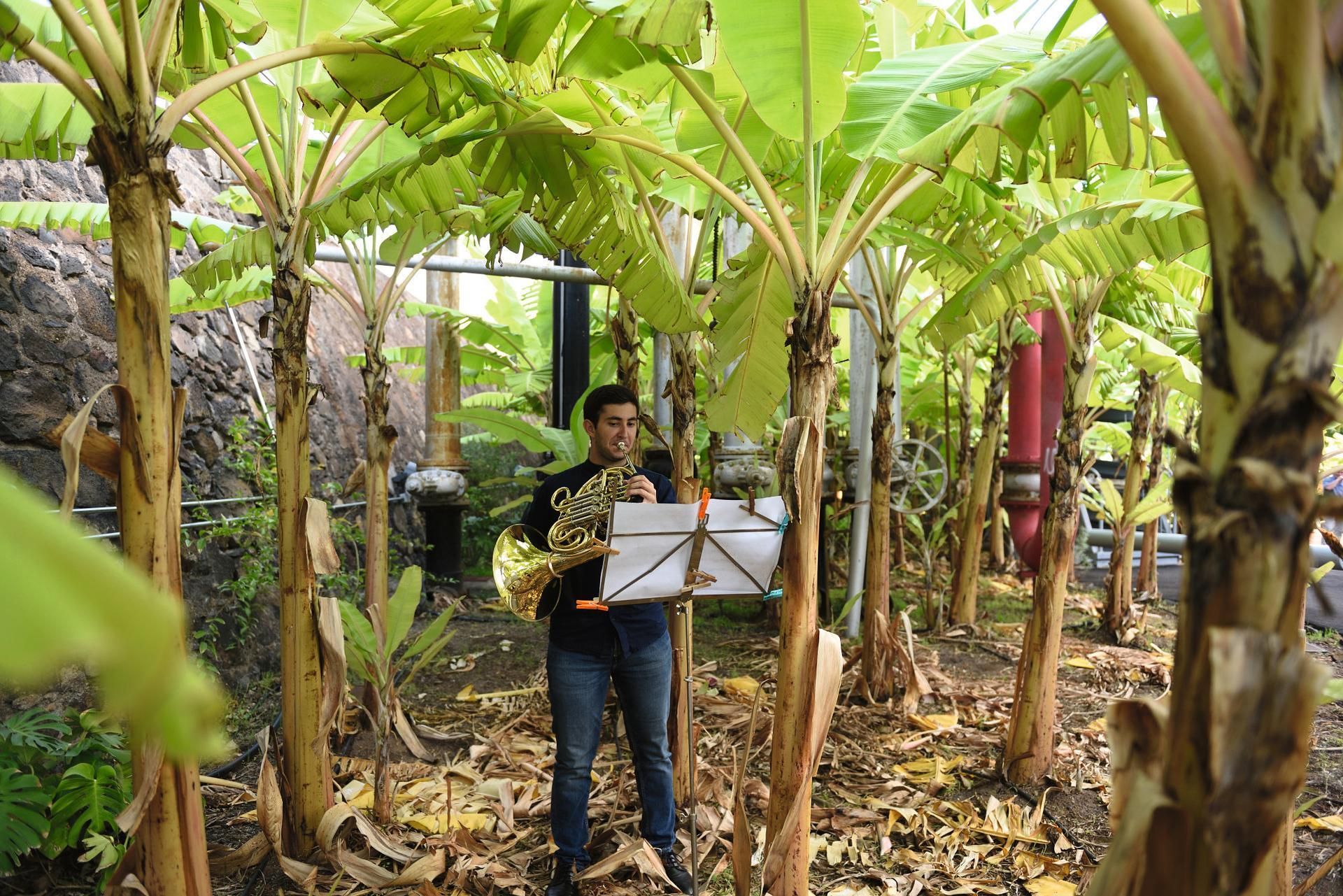 Ogród El Tanque na Teneryfie