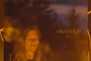Melancholia i tajemniczość w nowym klipie Mikromusic do utworu “Drzewiej”