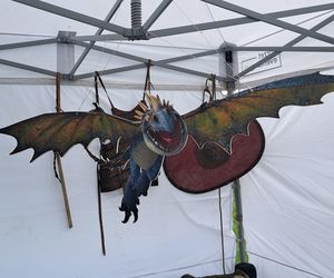 Smoczy Piknik Rodzinny 2025 w Krakowie